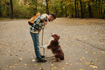 Man with Australian Shepherd dog practicing obedience commands on autumn park ground. Concept of training, discipline, and trust