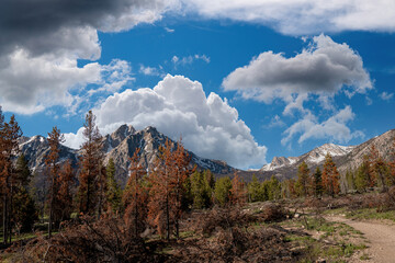 Mountain hiking trail leads to the peaks with a storm brewing