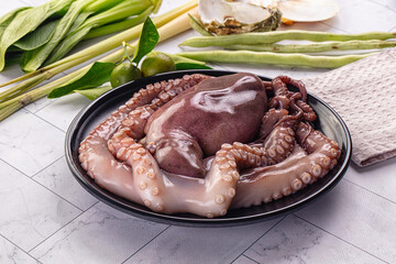 Gourmet luxury raw wild octopus