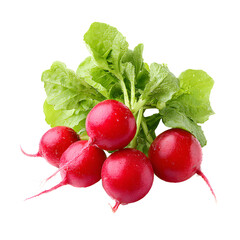 Fresh Radishes with Green Tops Isolated on White Background