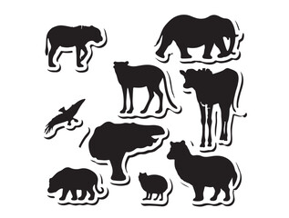 wild animals collection