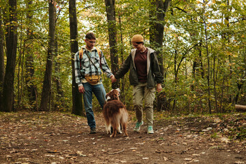 Smiling couple holding hands while walking Australian Shepherd dog along autumn forest path. Concept of love, nature, and recreation