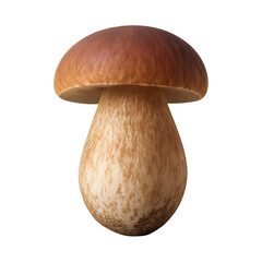 PNG Realistic mushroom isolated on white.