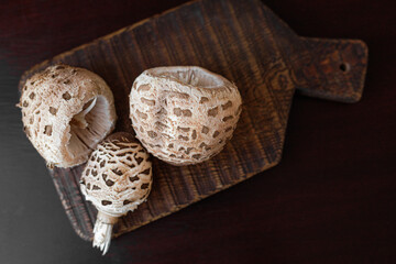 Macrolepiota procera, the parasol mushroom, on a dark rustic wooden board. Concept of forest harvest, organic food, copy space for banner or recipe. © Natallia