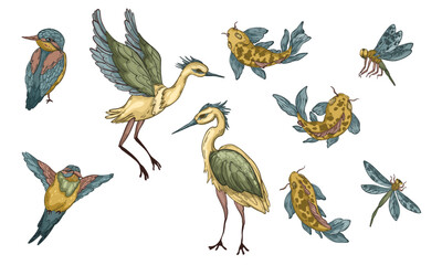 Asian fauna collection with herons, kingfishers, koi fish, and dragonflies. Hand-drawn vector illustration. Vintage design elements for fabric, posters, and invitations.