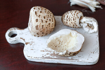 Macrolepiota procera, the parasol mushroom, on a white rustic board — young, mature, and sliced to reveal gills and texture. Concept of forest harvest, food study, organic design background.