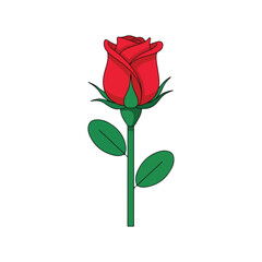 Single red rose with green stem and leaves, isolated on white background