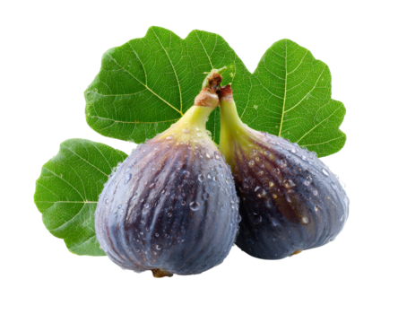 Fresh Figs: Two ripe figs sit beneath vibrant green leaves, showcasing the natural beauty and freshness of the fruit, perfect for culinary endeavors and healthy lifestyles.