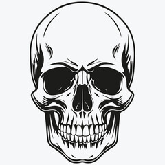 scull sketch illustration vector