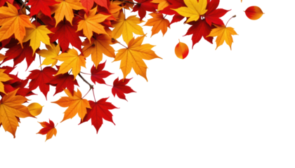 Autumn Leaves Dance in the Wind Isolated Maple Tree Against a Yellow Environment