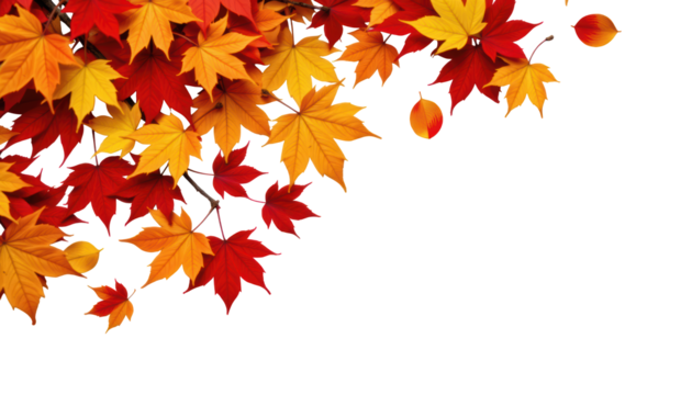 Autumn Leaves Dance in the Wind Isolated Maple Tree Against a Yellow Environment