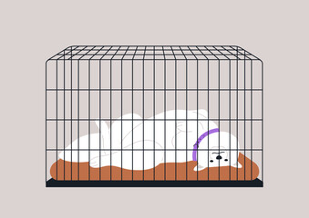 The principles of dog crate training, The crate features a soft mat, emphasizing comfort while providing a secure area for the pet.