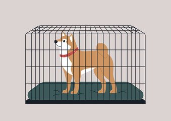 The principles of dog crate training for shiba inu, The crate features a soft mat, emphasizing comfort while providing a secure area for the pet.