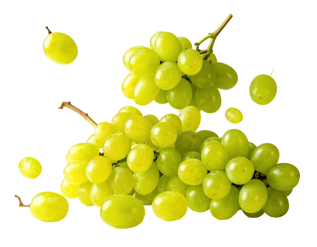 Close-up of green grapes in various sizes on a transparent background