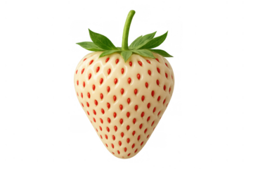 Fresh pineberry fruit representing healthy eating, a natural and sweet berry treat with distinct color against a clear backdrop