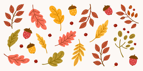 Autumn harvest collection featuring oak leaves acorns berries and strawberries in warm fall colors © Delip