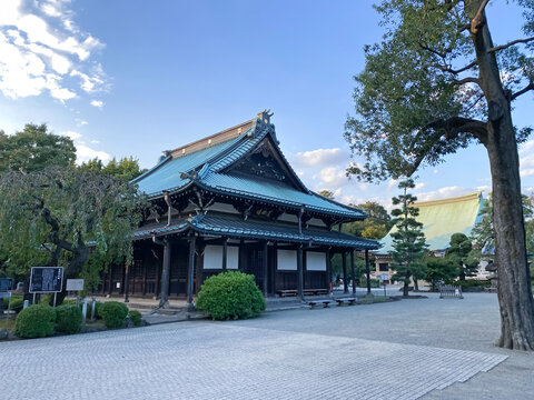 招き猫で有名な豪徳寺の仏殿と法堂