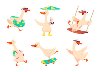Cartoon goose. Domestic animal bird goose and mom duck in action pose flying walking sitting exact vector cute characters
