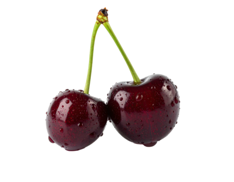Close-up of two shiny, water-droplet-covered, ripe, deep-red fruit. A single, green stem connects