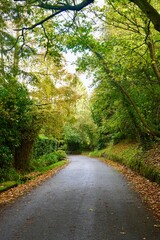 Autumn in Guernsey