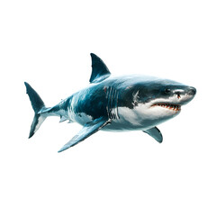Fototapeta premium Majestic great white shark swimming underwater isolated on transparent background