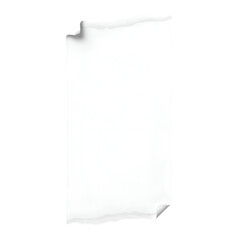 White paper with torn edges and shadows isolated on white background.