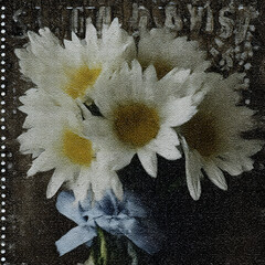 Bouquet of daisies tied with a blue ribbon on a vintage postage stamp from the early 20th century
