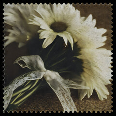 Postage stamp showcasing a beautiful bouquet of white daisies tied with a delicate ribbon on a textured background