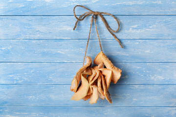 dried apple chips hanging on the wall