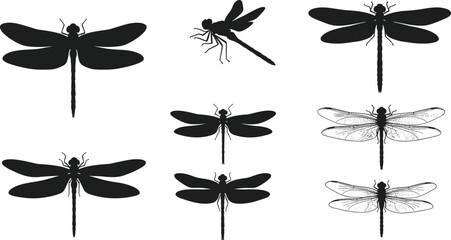 Dragonfly silhouettes and detailed wing illustrations set, insect vector collection, nature wildlife design, flying dragonfly art outline elements © MdAnoar