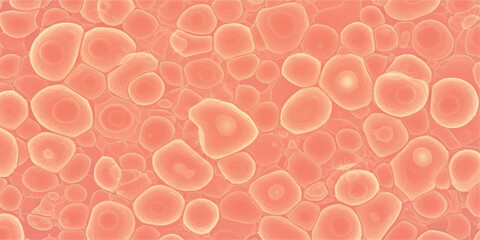 Close-up of cells showing their structure and arrangement suitable for medical or scientific presentations