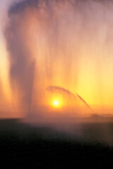 Irrigation of crops at sunrise in Florida