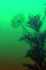 Abstraktes dynamisches futuristisches digitales Kunstwerk ohne Mithilfe von "KI " am PC selbst erstellt	