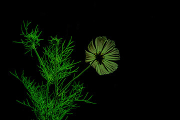 Abstraktes dynamisches futuristisches digitales Kunstwerk ohne Mithilfe von "KI " am PC selbst erstellt	