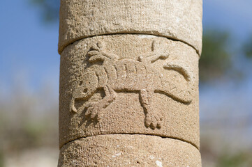 Stone carving of a lizard on  column detail