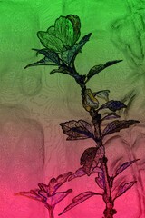 Abstraktes dynamisches futuristisches digitales Kunstwerk ohne Mithilfe von "KI " am PC selbst erstellt	