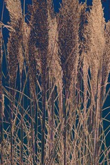 Abstraktes dynamisches futuristisches digitales Kunstwerk ohne Mithilfe von "KI " am PC selbst erstellt	