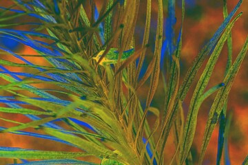 Abstraktes dynamisches futuristisches digitales Kunstwerk ohne Mithilfe von "KI " am PC selbst erstellt	