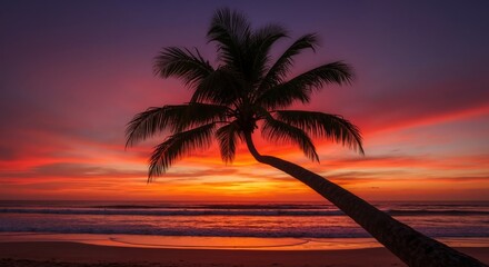 Silhouette of a leaning palm tree on a tropical beach during a vibrant sunset. Colorful sky over the ocean. Paradise vacation background