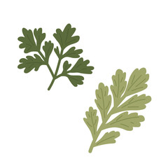 Parsley Leaves Clipart in Flat Hand-Drawn Style for Kitchen Design