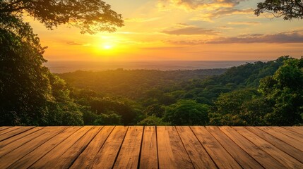 Sunset over forest landscape