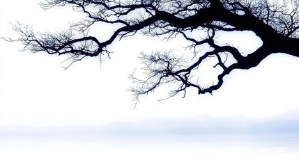 Obraz premium A lone tree in the middle of a foggy field