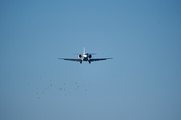 Airplane in the blue sky. A flying plane not far from the airport.