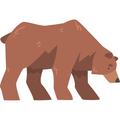 Brown Bear Walking with Head Down in Stylized Illustration on Transparent Background