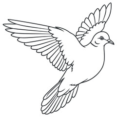 Fototapeta premium Elegant mourning dove illustration in flight