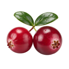 Two fresh cranberries with green leaves closeup isolated on Transparent background
