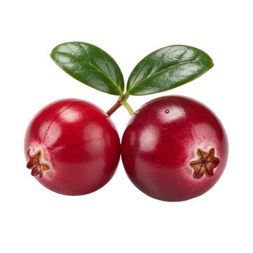 Two fresh cranberries with green leaves closeup isolated on Transparent background
