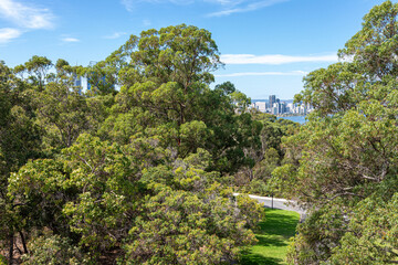 The view from the top of the 15 metre high DNA Tower commissioned in 1966 in Kings Park and Botanic Garden, Perth, Western Australia, WA, Australia
