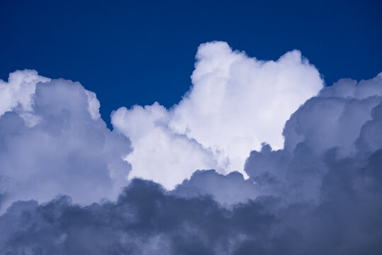 Clear blue sky with clouds. Puffy cumulus clouds in sunlight. Blue sky background. White clouds floating. Summer sky with calm cloud.