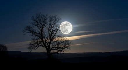 Full moon rising over a silhouetted bare tree in a clear night